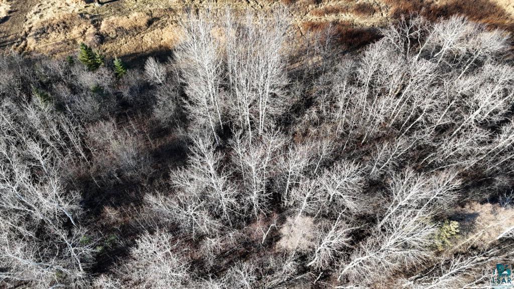 Parcel A Parcel A Parameter Road Deer River, MN 56636 - Photo 11 of 14