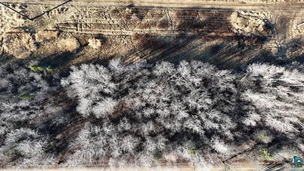 $19,900 | Parcel A Parcel A Parameter Road, Deer River, MN 56636