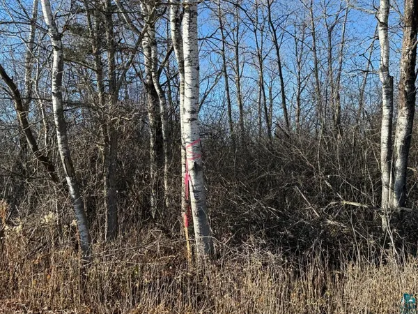 $19,900 | Parcel A Parcel A Parameter Road, Deer River, MN 56636
