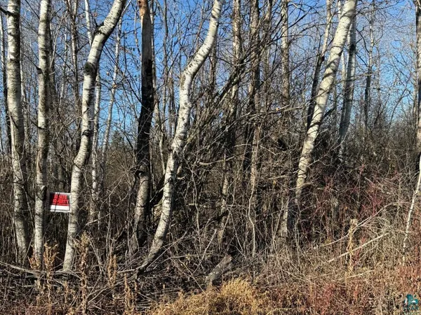 $19,900 | Parcel A Parcel A Parameter Road, Deer River, MN 56636