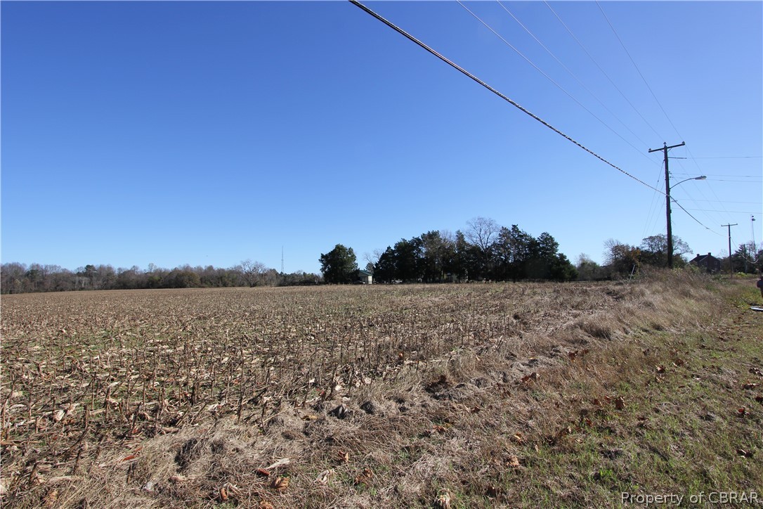 3026 Forge Road Toano, VA 23168 - Photo 5 of 11 3026 Forge Road 50.77 Ac