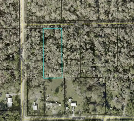 $23,499 | 3909 Apple Avenue, Bunnell, FL 32110