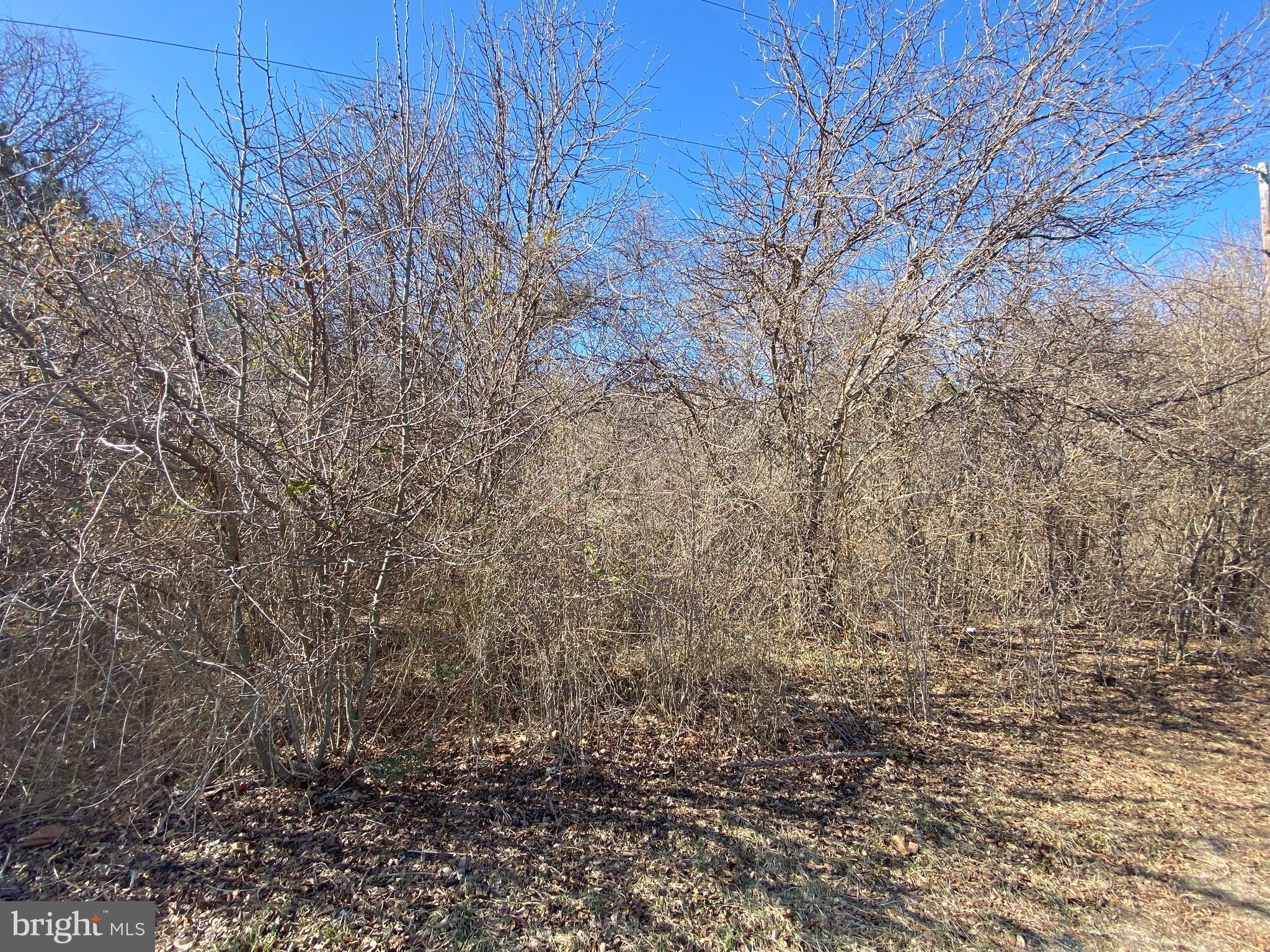 0 Hammond School Road Salisbury, MD 21804 - Photo 3 of 4