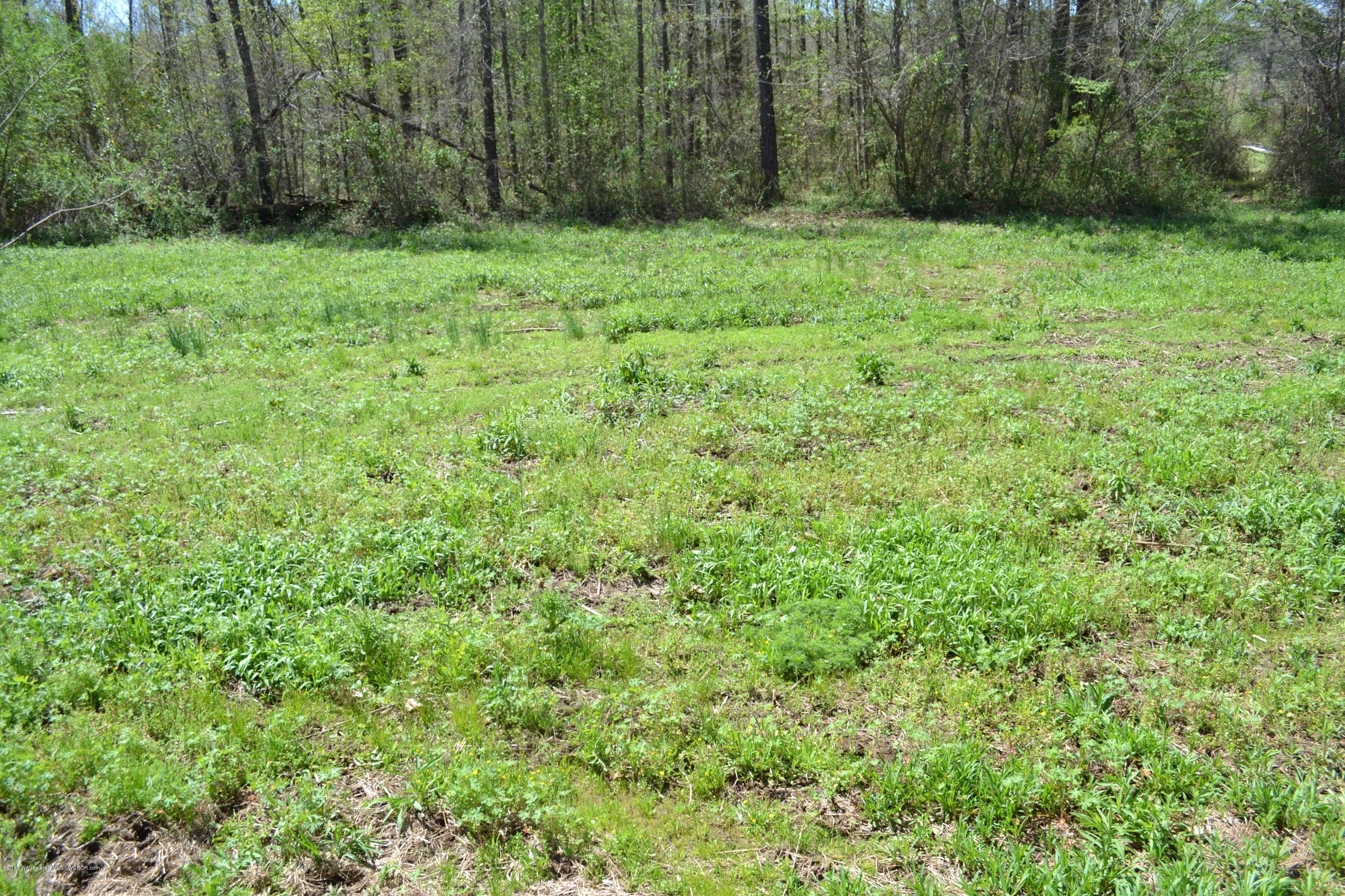 462 Webb Road Bankston, AL 35542 - Photo 25 of 25 Gallery Image 25
