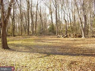 27 Johnson Road Lawrenceville, NJ 08648 - Photo 6 of 6