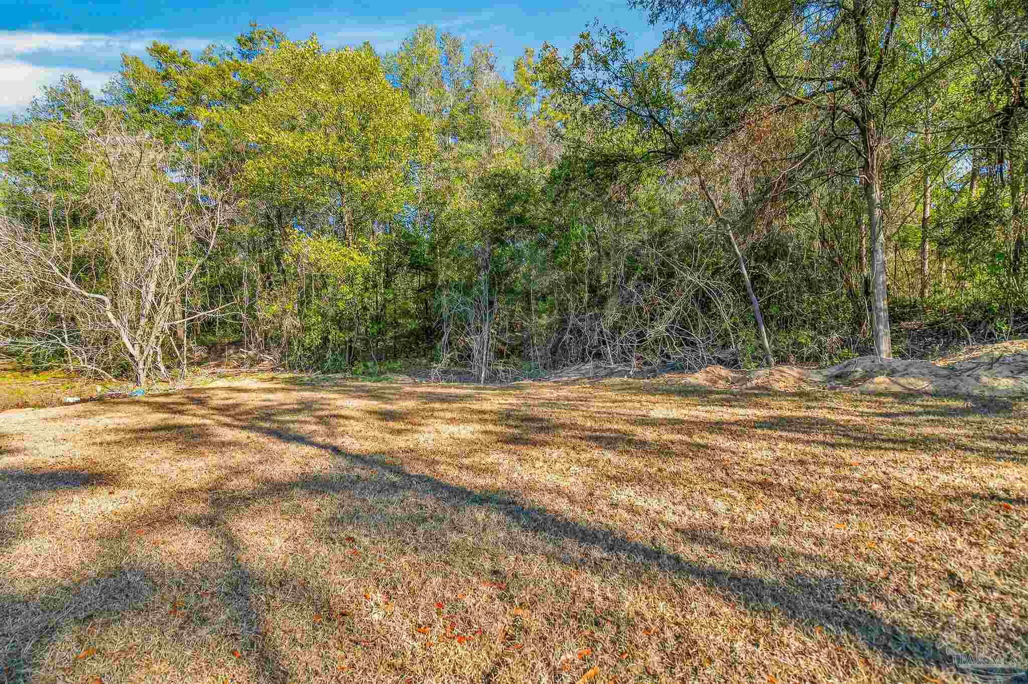 1056 Barth Road Molino, FL 32577 - Photo 40 of 46 a view of outdoor space with trees