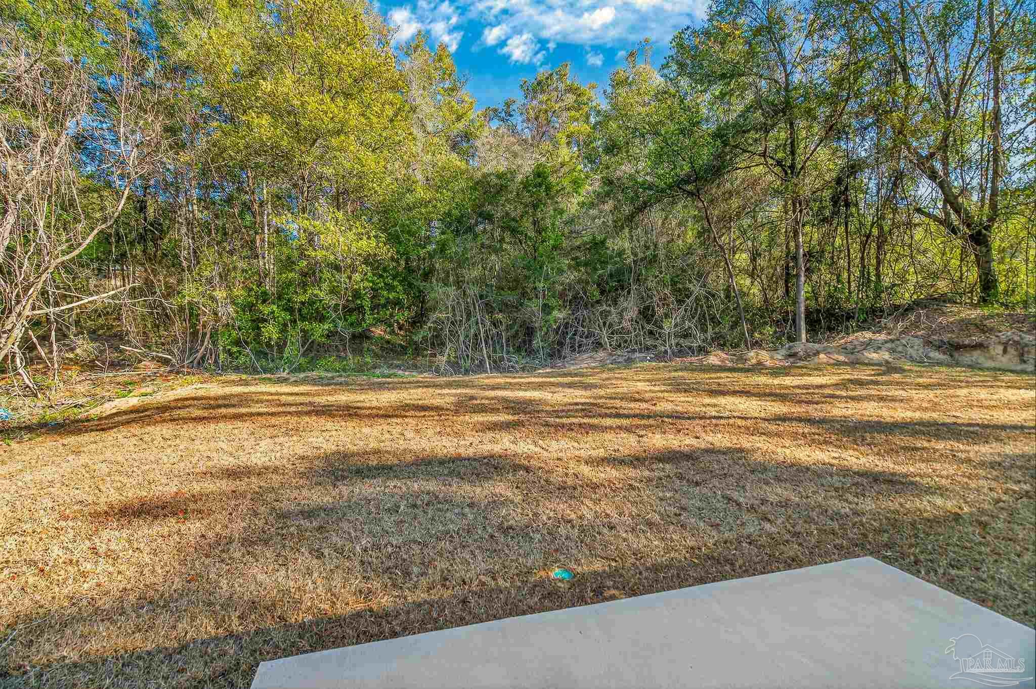 1056 Barth Road Molino, FL 32577 - Photo 10 of 46 a view of a yard with a house