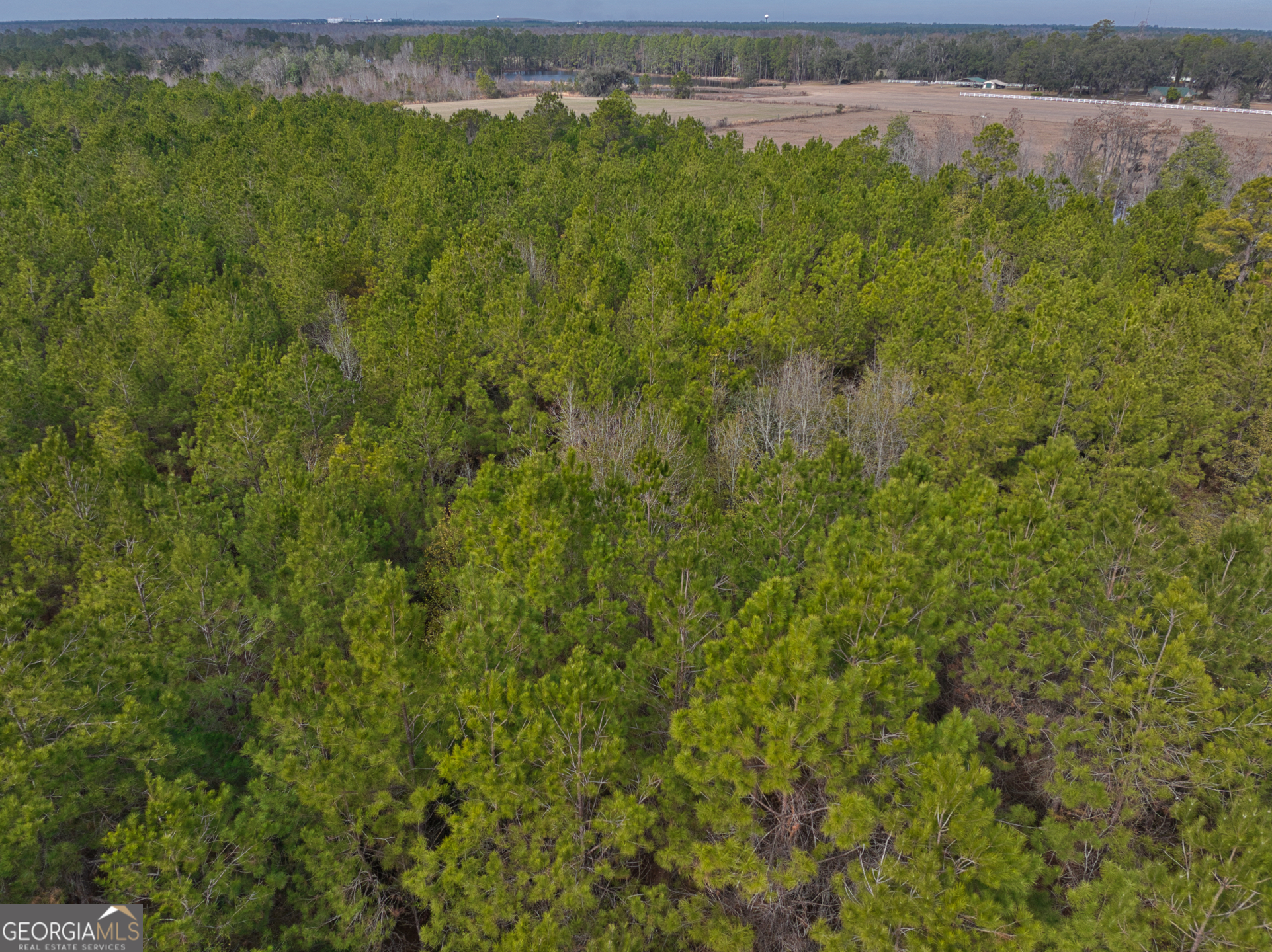 2940 Mud Swamp Road Valdosta, GA 31601 - Photo 15 of 15