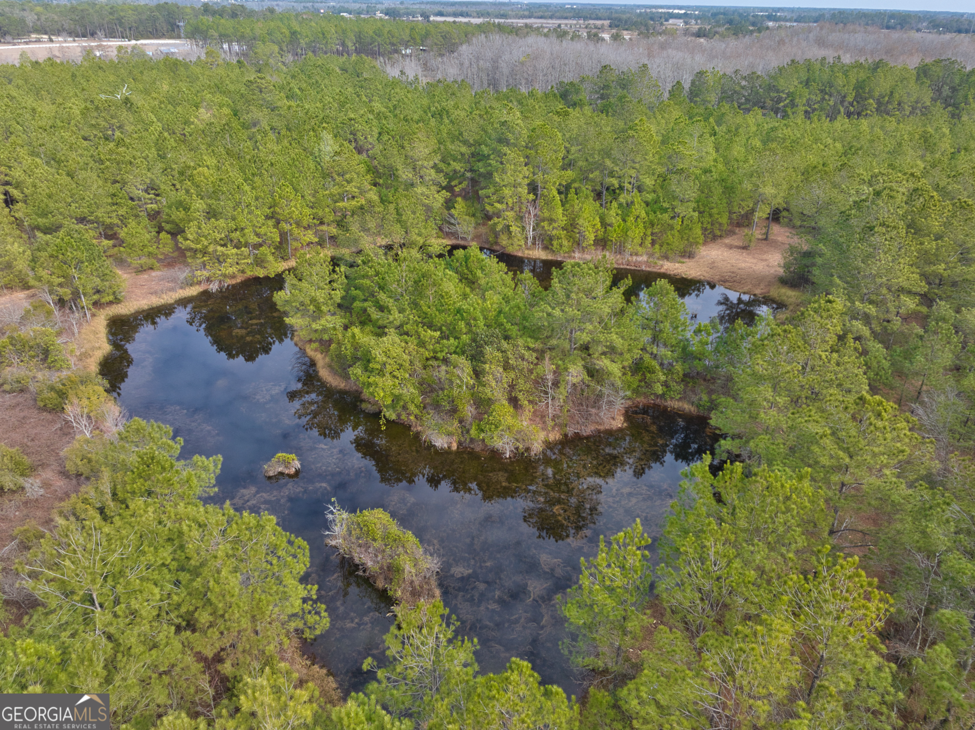 2940 Mud Swamp Road Valdosta, GA 31601 - Photo 2 of 15
