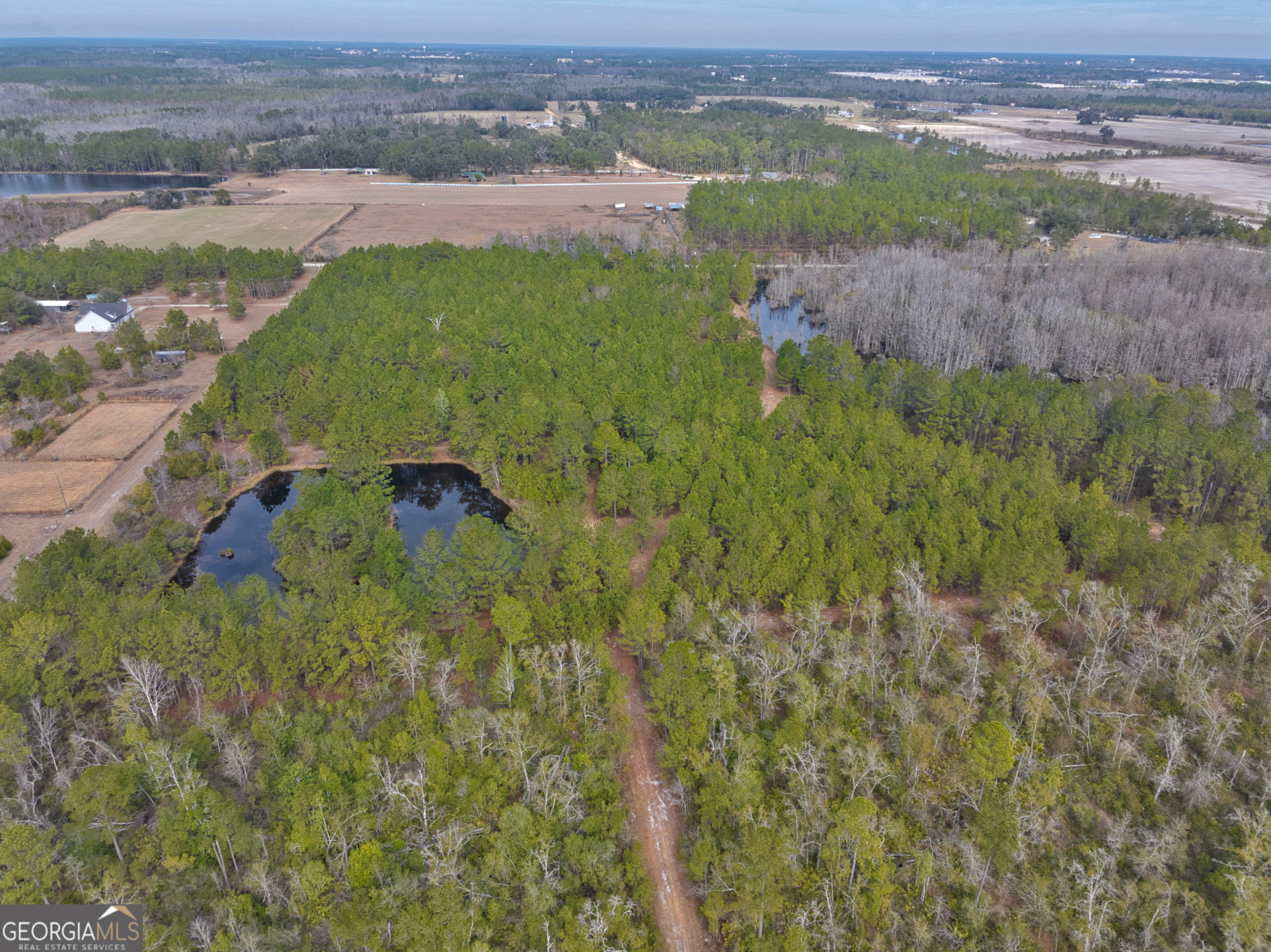 2940 Mud Swamp Road Valdosta, GA 31601 - Photo 3 of 15