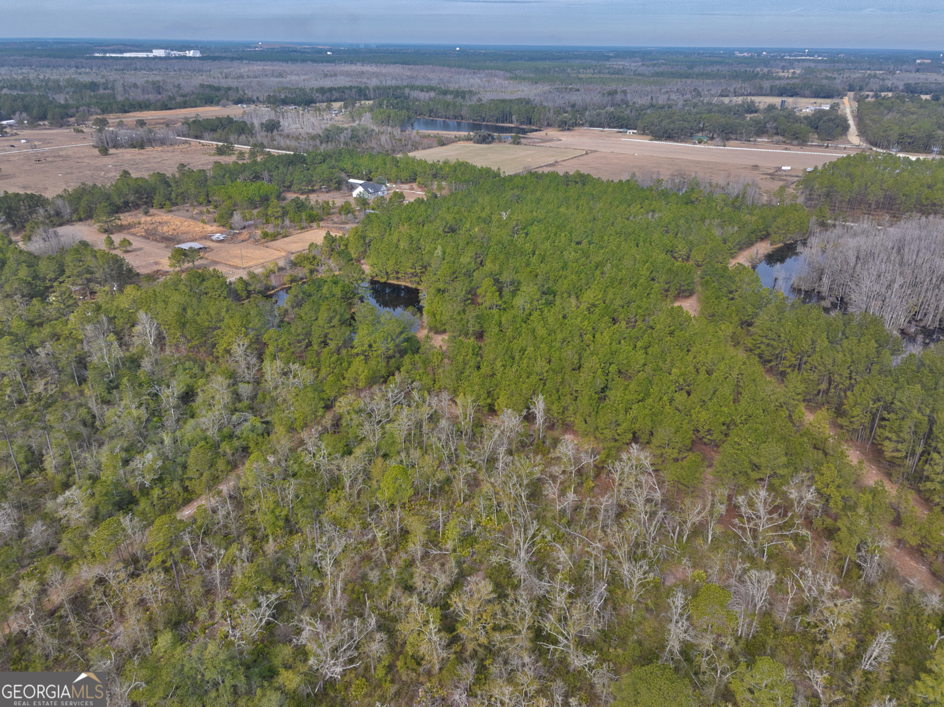 2940 Mud Swamp Road Valdosta, GA 31601 - Photo 4 of 15