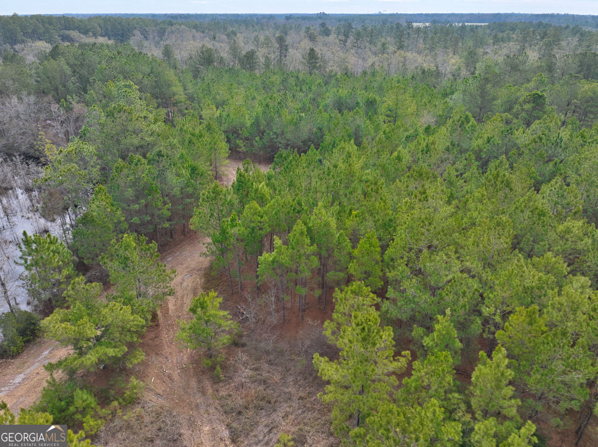 2940 Mud Swamp Road Valdosta, GA 31601 - Photo 7 of 15