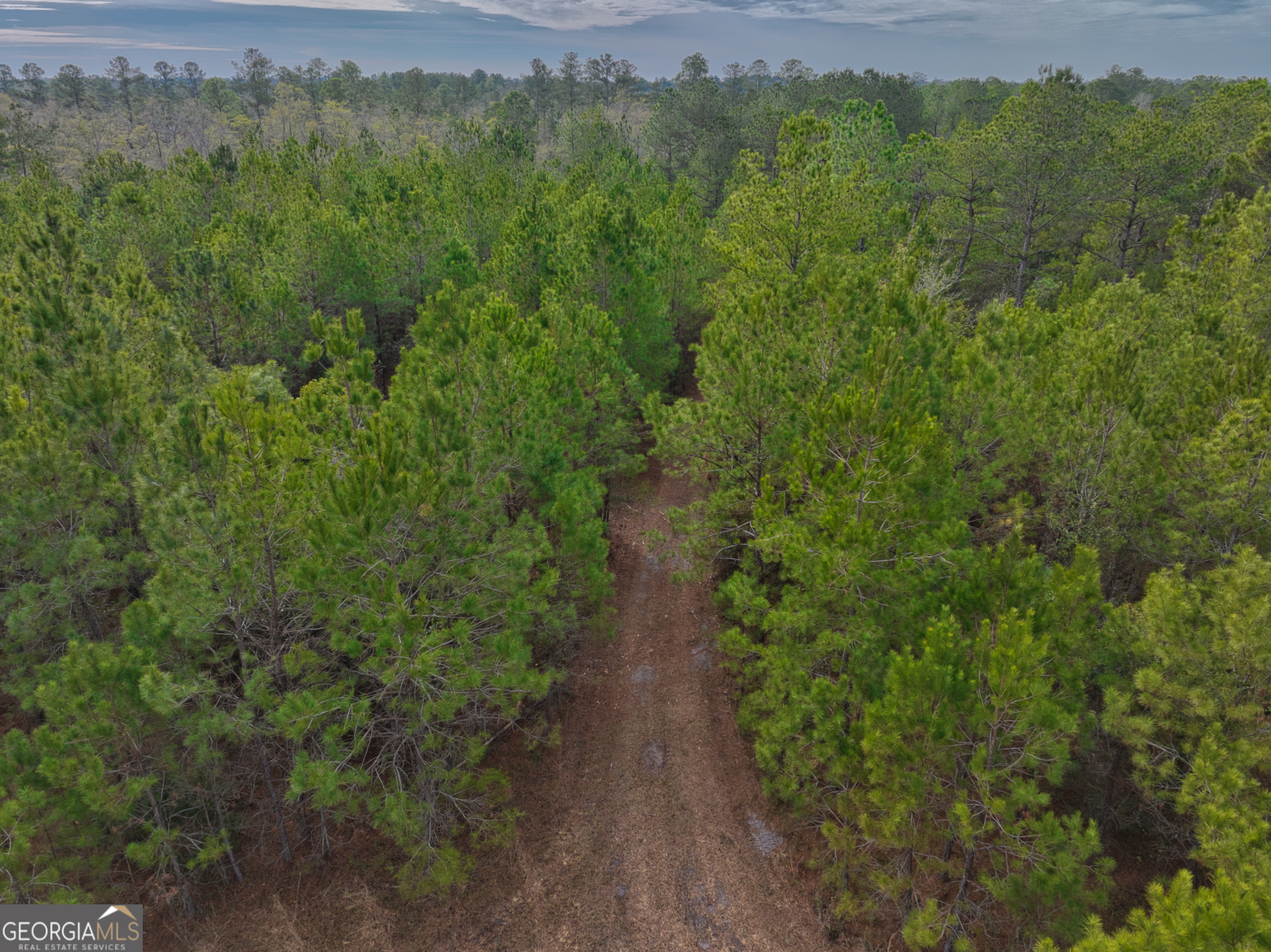 2940 Mud Swamp Road Valdosta, GA 31601 - Photo 8 of 15
