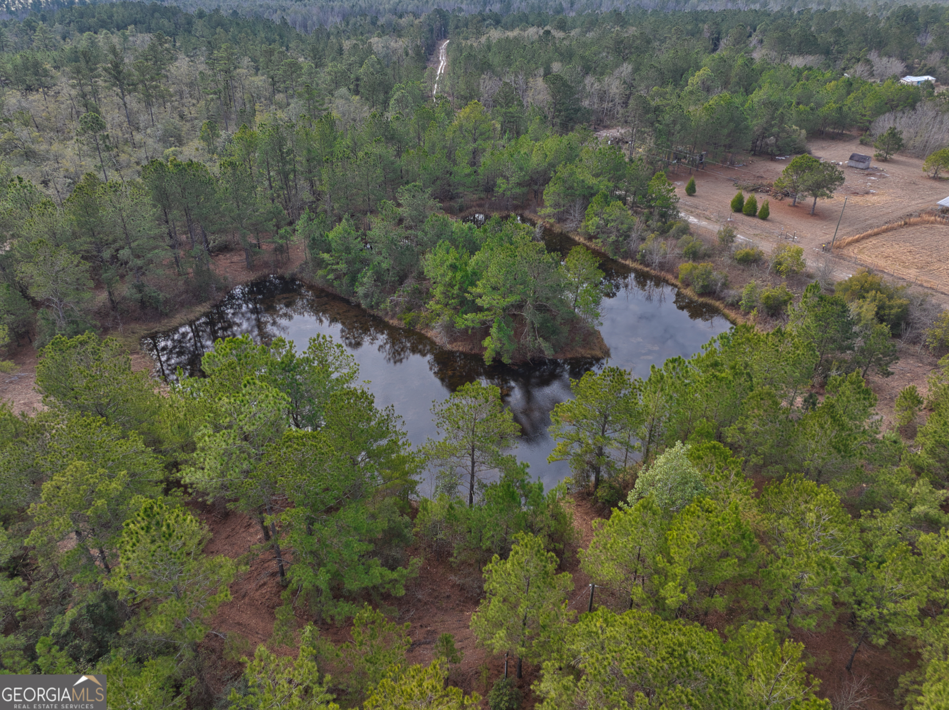 2940 Mud Swamp Road Valdosta, GA 31601 - Photo 9 of 15