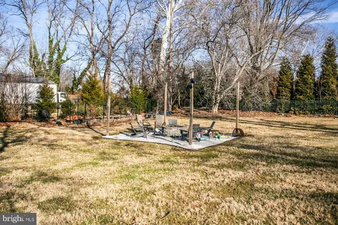 a view of water with large trees