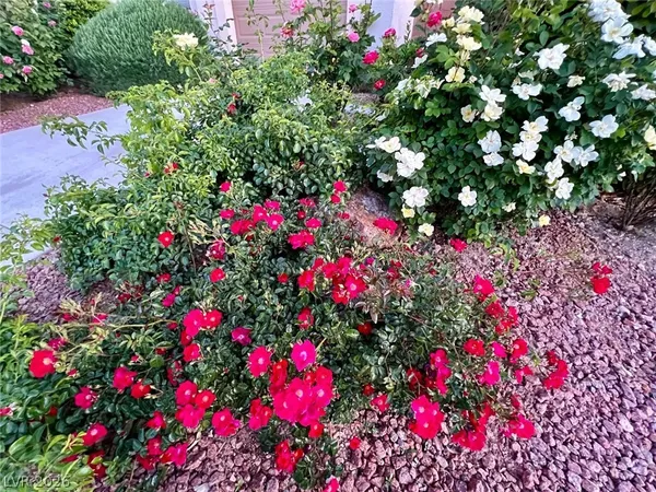 $3,995 | 2415 Winter Cliffs Street, Henderson, NV 89052