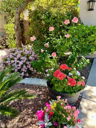 $3,995 | 2415 Winter Cliffs Street, Henderson, NV 89052