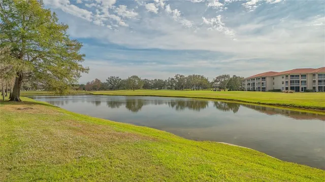 a view of a lake with houses in the background