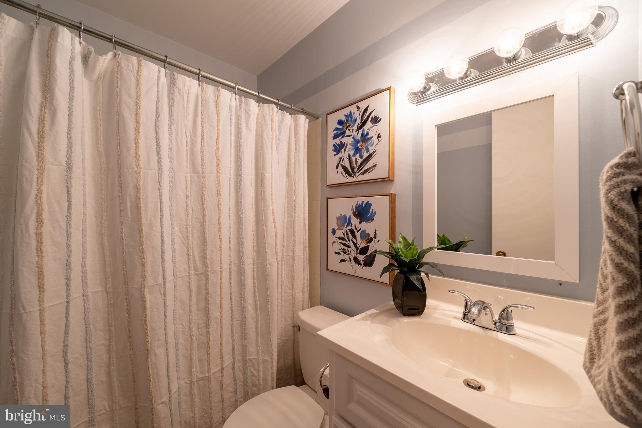10901 Swansfield Road Columbia, MD 21044 - Photo 35 of 59 Gallery Image 35
