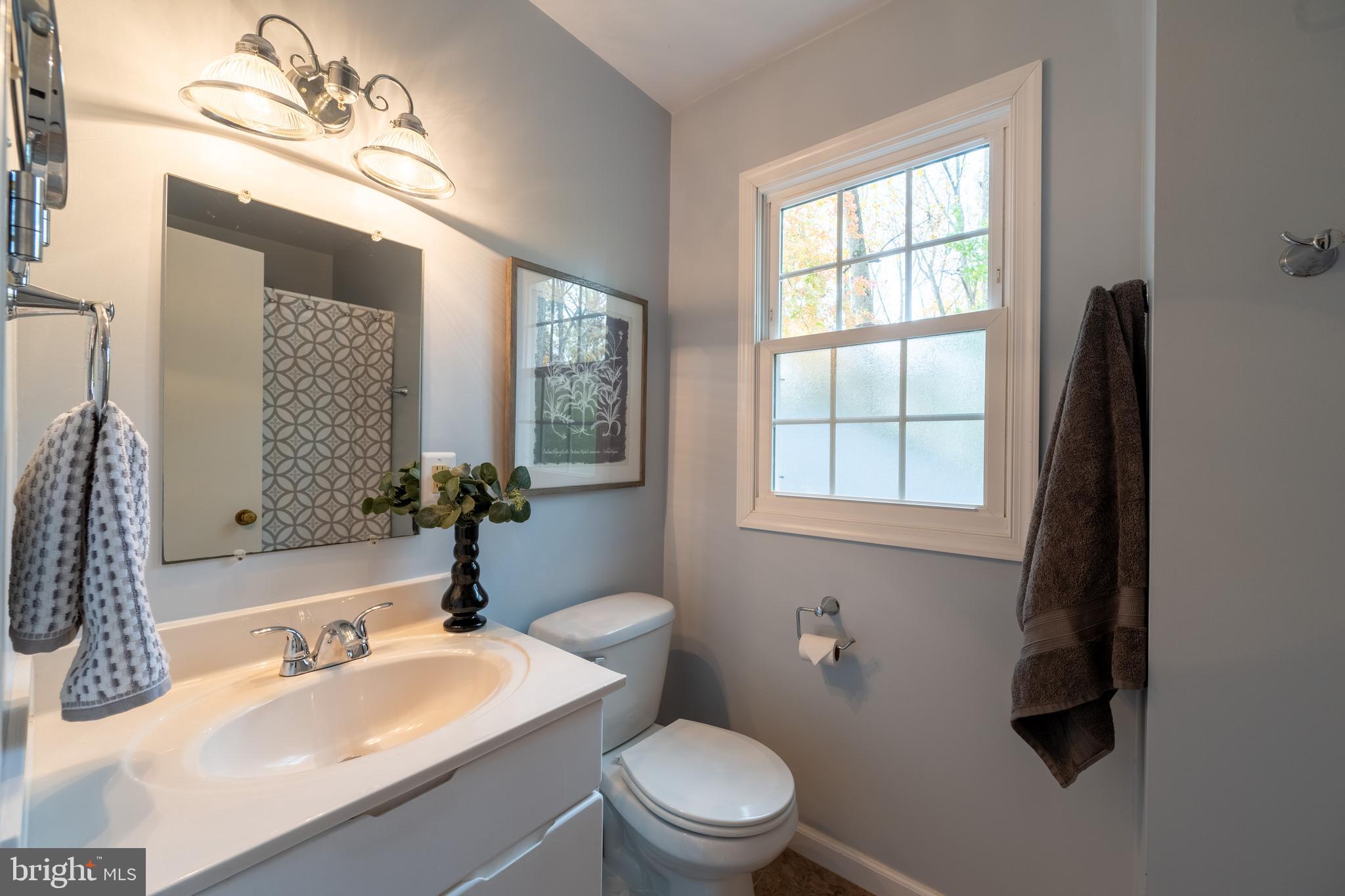 10901 Swansfield Road Columbia, MD 21044 - Photo 39 of 59 Gallery Image 39