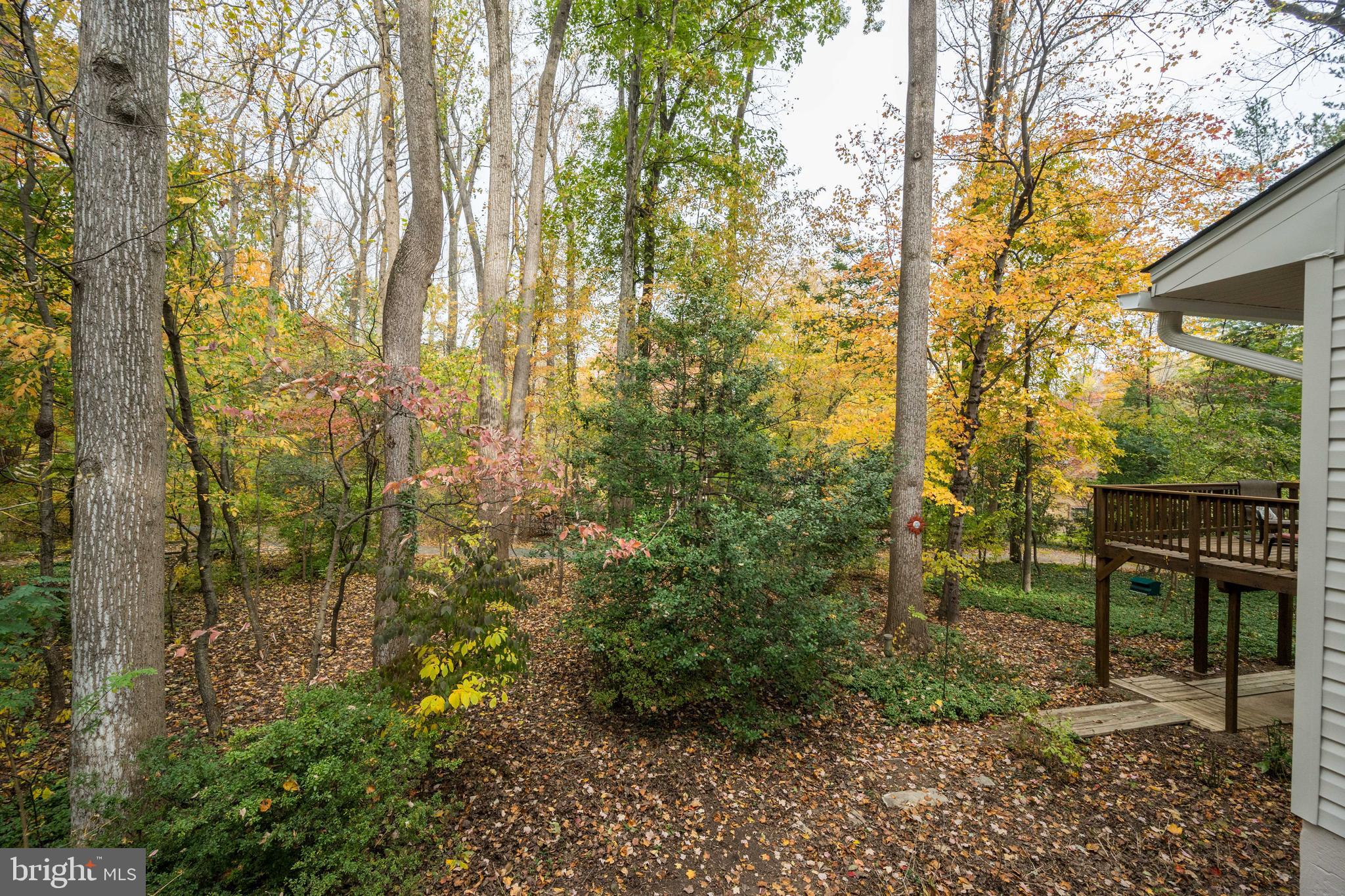 10901 Swansfield Road Columbia, MD 21044 - Photo 51 of 59 Gallery Image 51