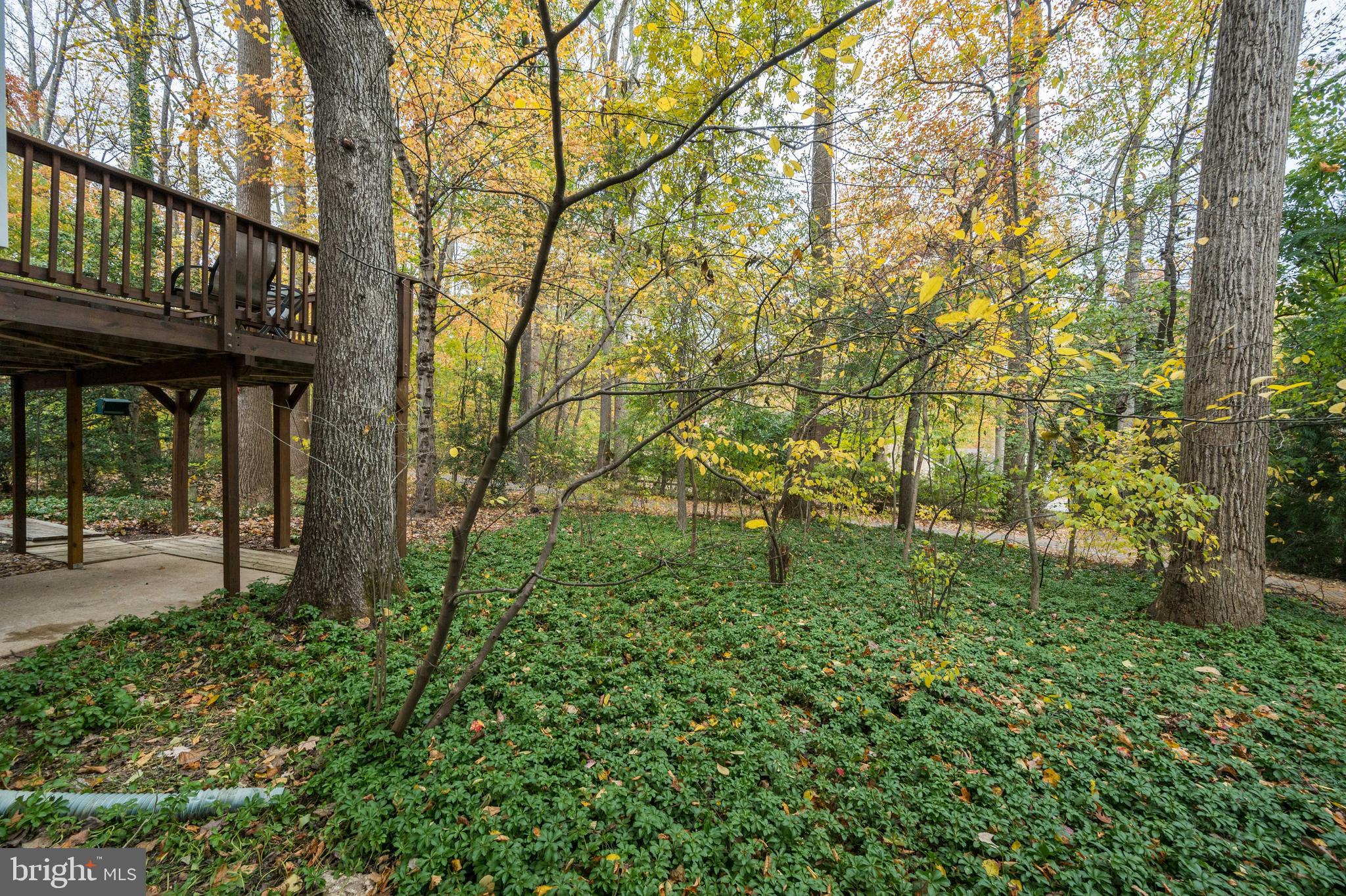 10901 Swansfield Road Columbia, MD 21044 - Photo 52 of 59 Gallery Image 52