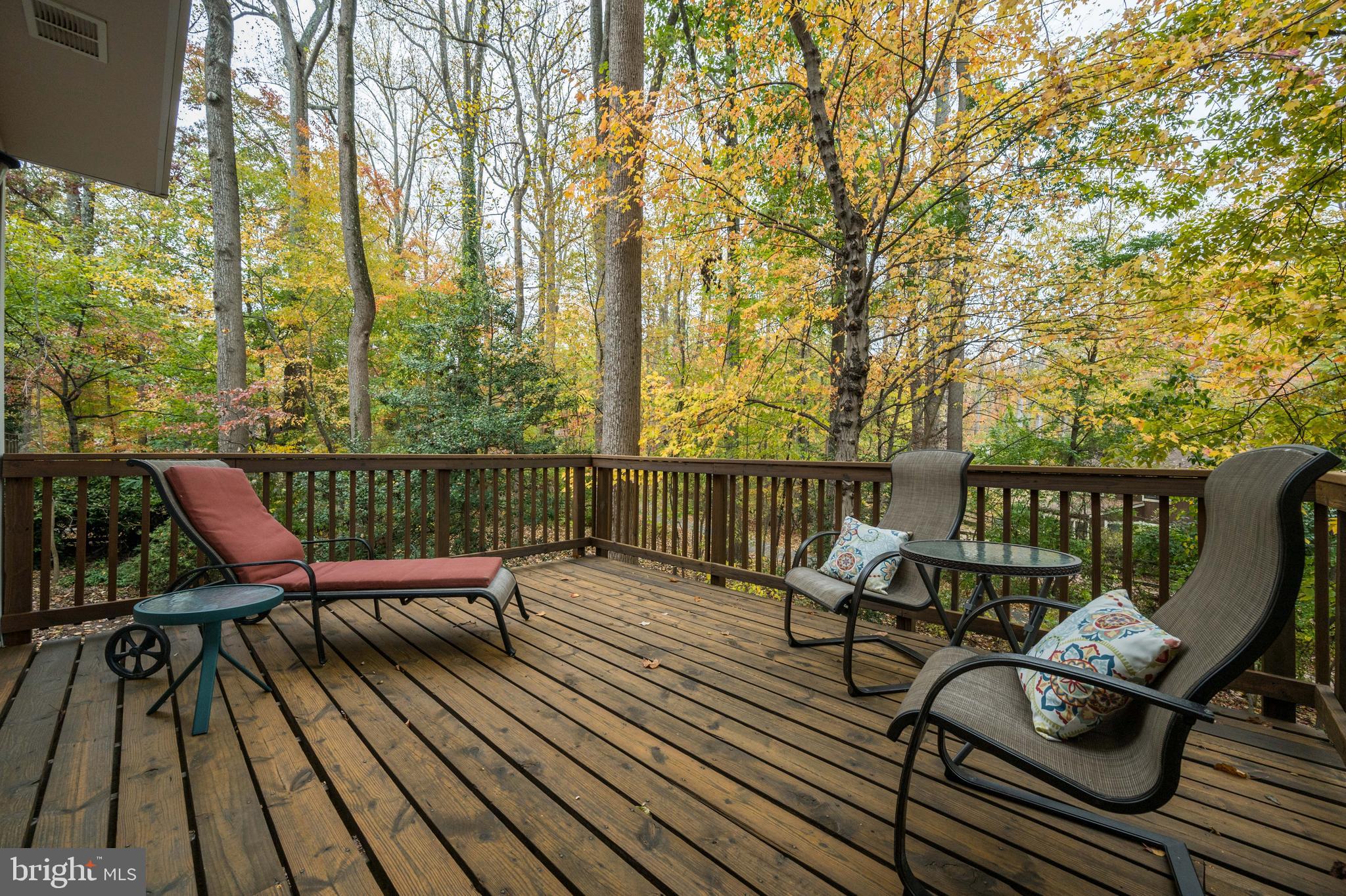 10901 Swansfield Road Columbia, MD 21044 - Photo 57 of 59 Gallery Image 57