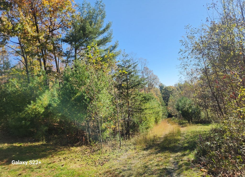 4.9-ac Pridemoore Road, Unit 2 Galax, VA 24333 - Photo 2 of 4 Gallery Image 2