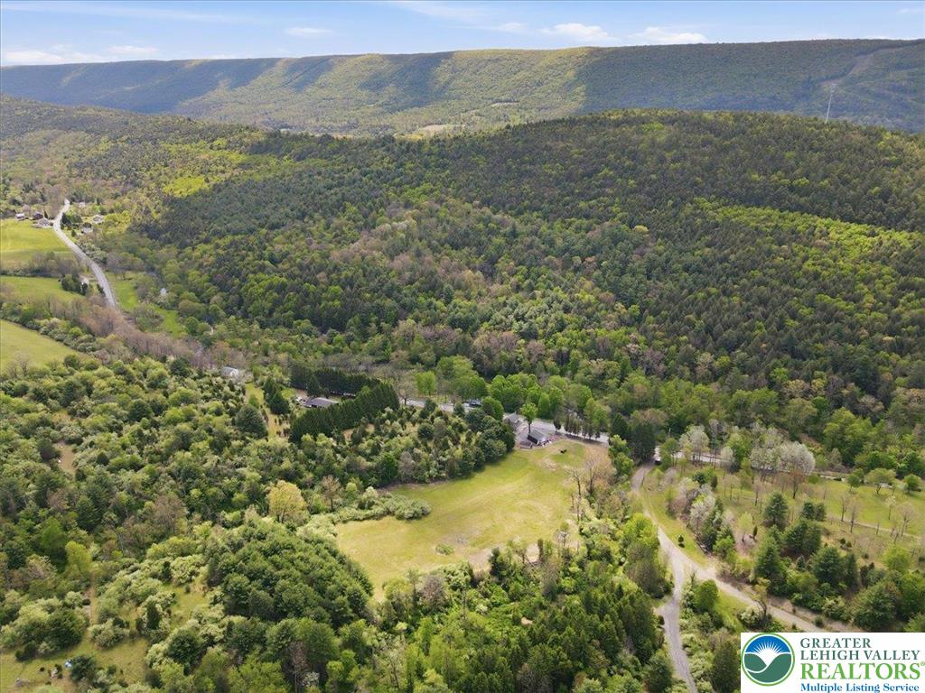 4880 Little Gap Road Kunkletown, PA 18058 - Photo 98 of 100 This elevated perspective captures the sprawling natural landscape, offering expansive green views.