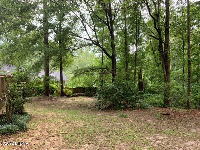 1165 Ridgeview Circle Macon, GA 31220 - Photo 28 of 32 IMG_1418