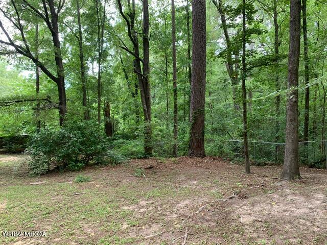 1165 Ridgeview Circle Macon, GA 31220 - Photo 29 of 32 IMG_1419