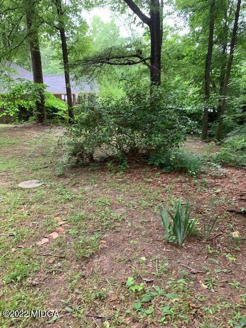 1165 Ridgeview Circle Macon, GA 31220 - Photo 6 of 32 IMG_1222