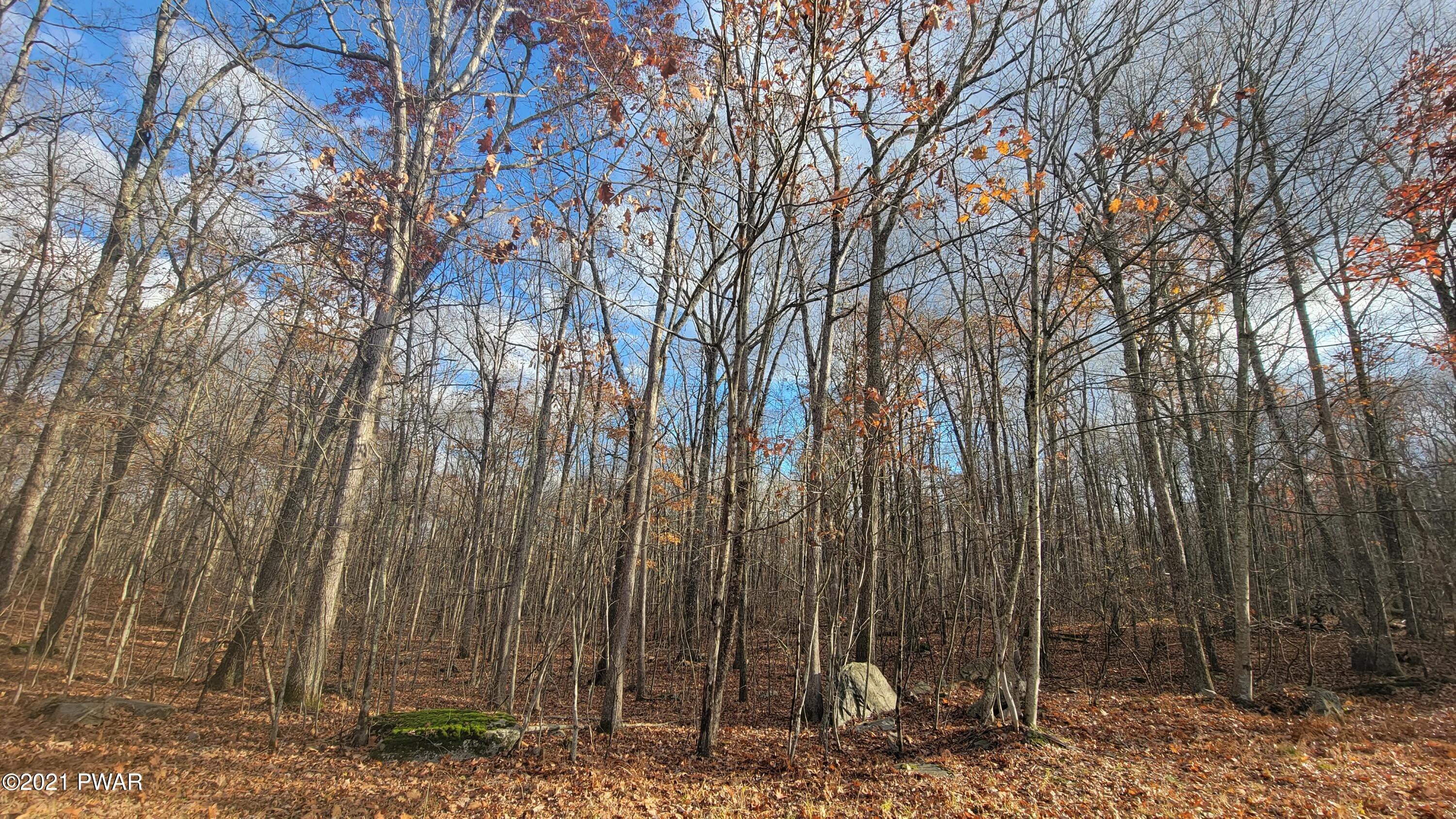 Lot 61 Perry Pond Road Narrowsburg, NY 12764 - Photo 4 of 19