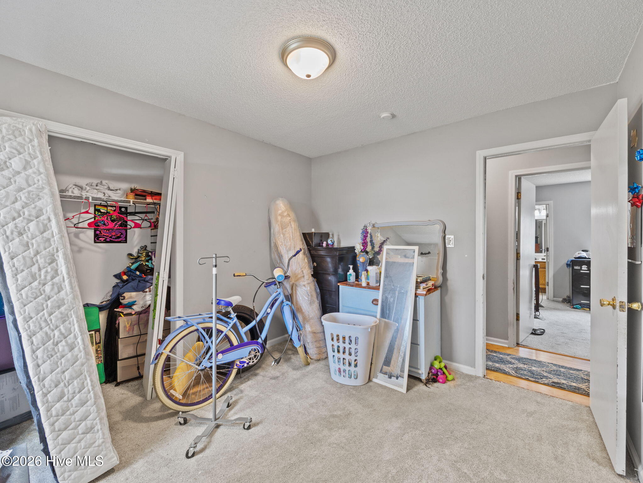 329 Steller Road Jacksonville, NC 28540 - Photo 16 of 46 16-web-or-mls-329 Steller Rd. 36