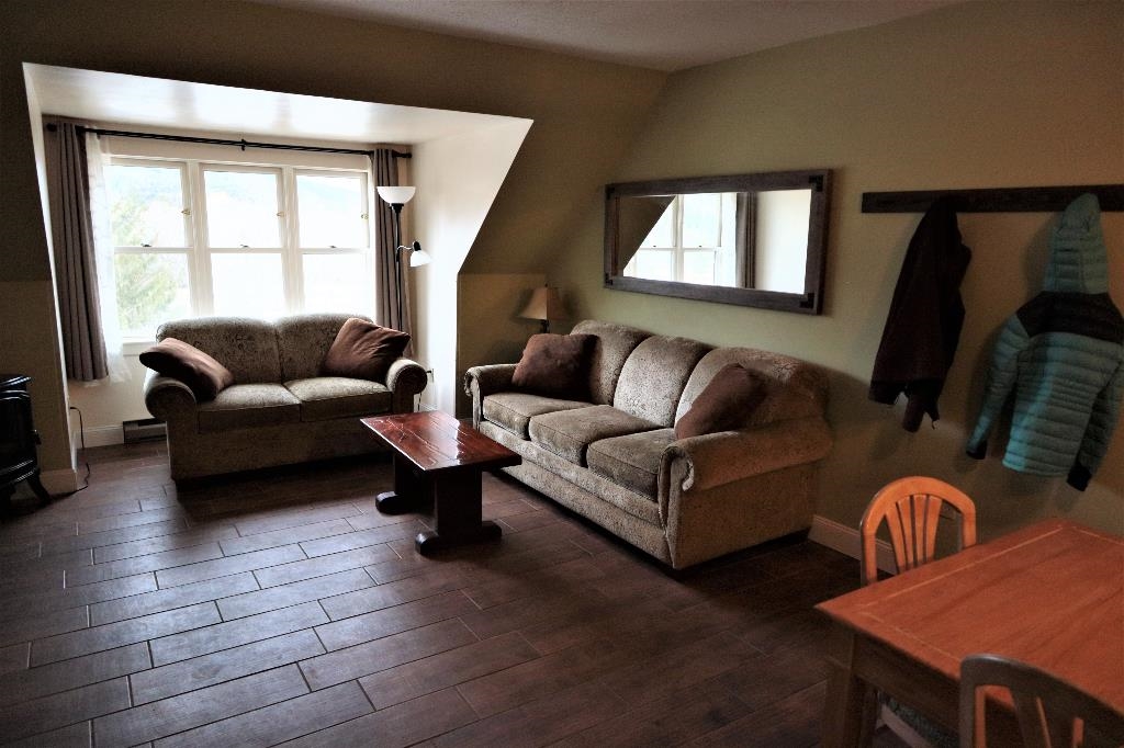 28 Packard's Road, Unit 625 Waterville Valley, NH 03215 - Photo 3 of 19