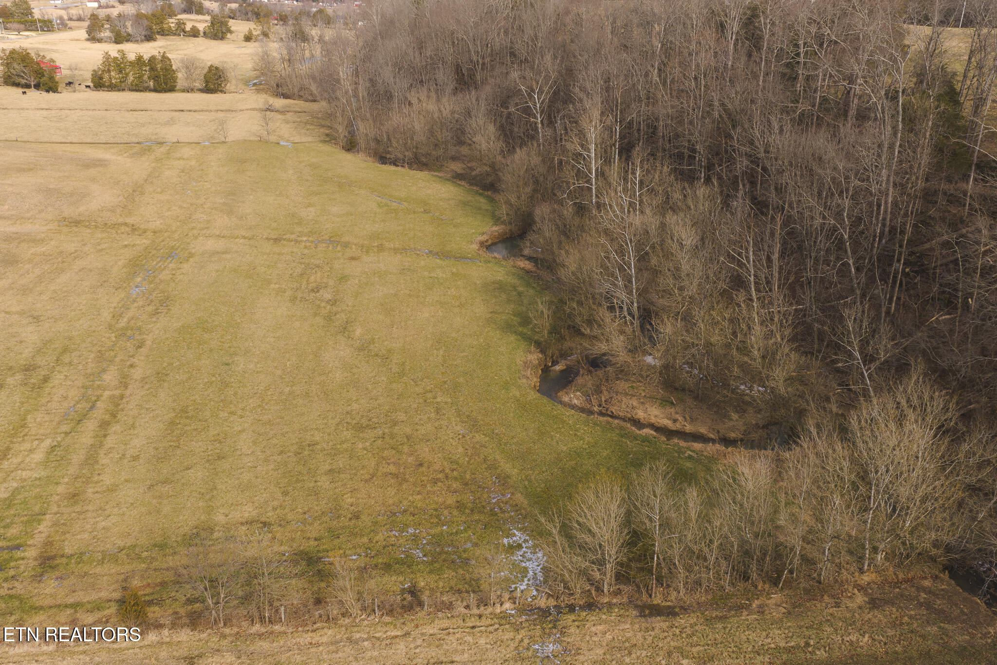 0 Cherry Street Rutledge, TN 37861 - Photo 8 of 27 DJI_20260129145951_0042_D