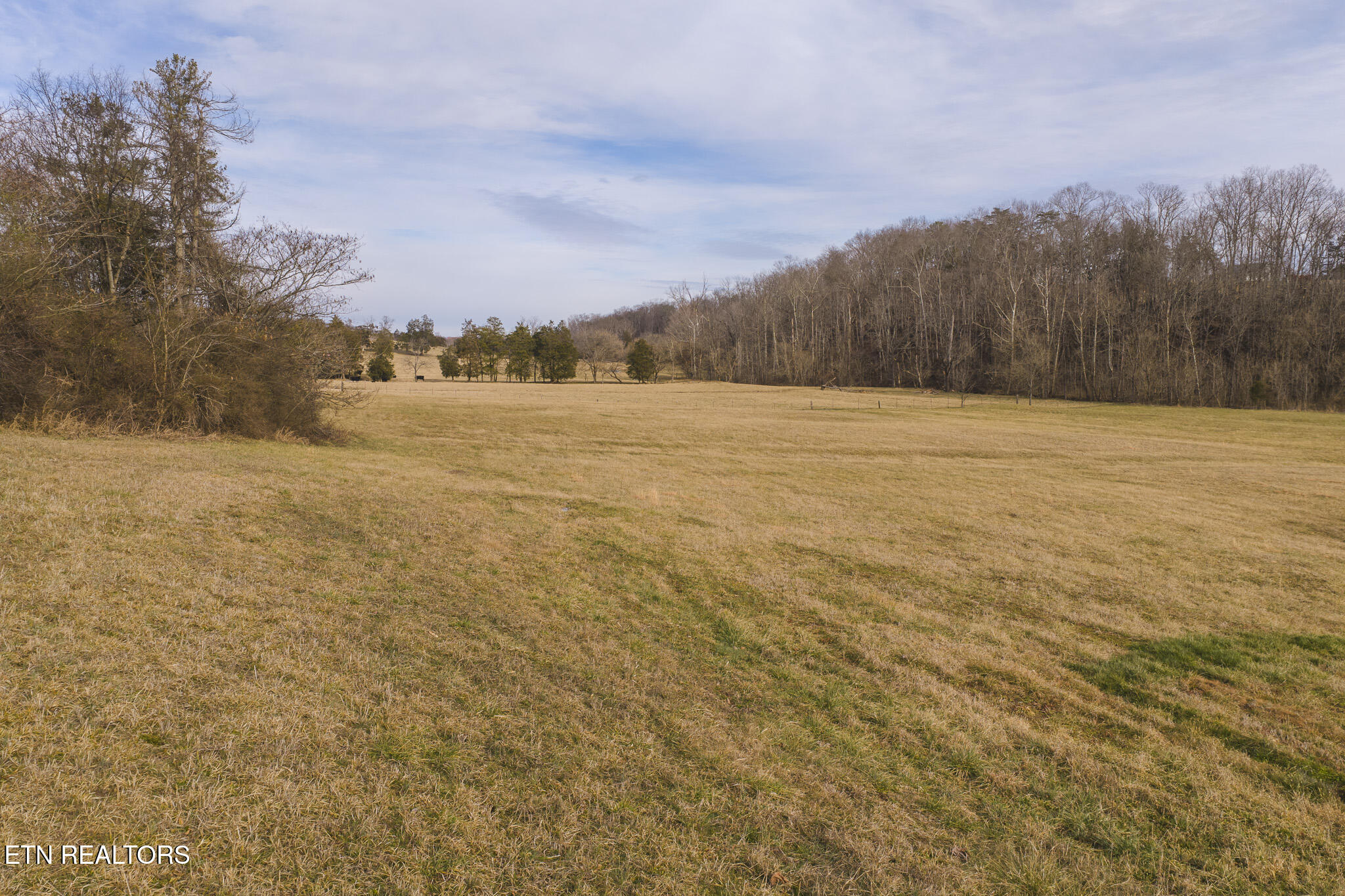 0 Cherry Street Rutledge, TN 37861 - Photo 9 of 27 DJI_20260129150151_0046_D