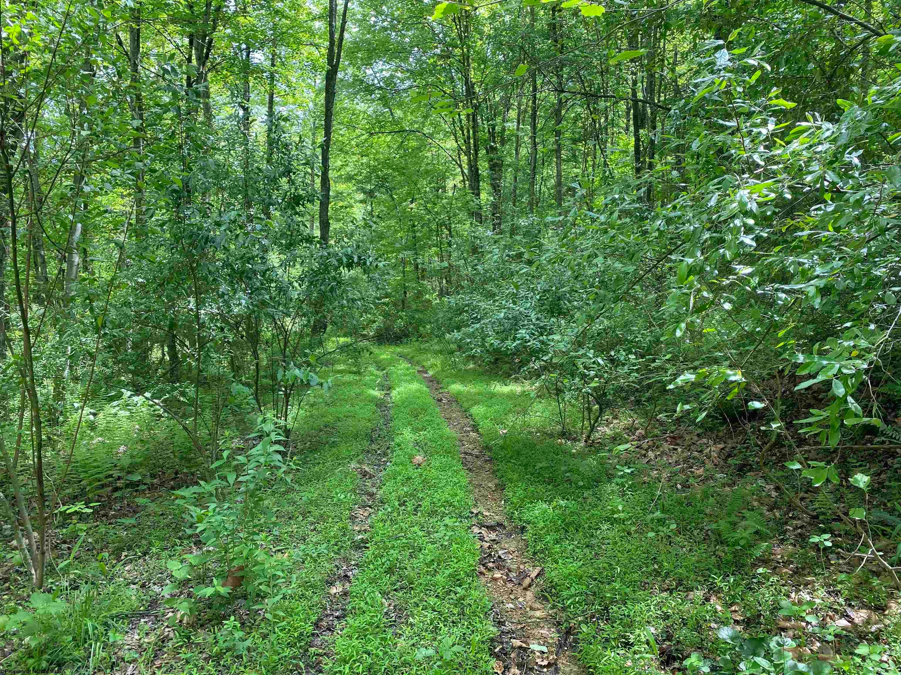Tbd Dunham Lick Road Fairmont, WV 26554 - Photo 5 of 27 Gallery Image 5