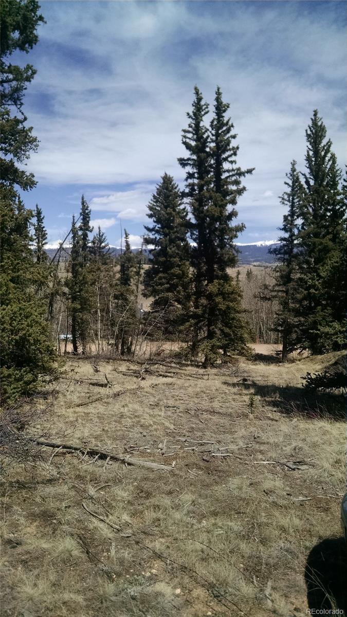 622 Spearpoint Road Jefferson, CO 80456 - Photo 2 of 9 Gallery Image 2