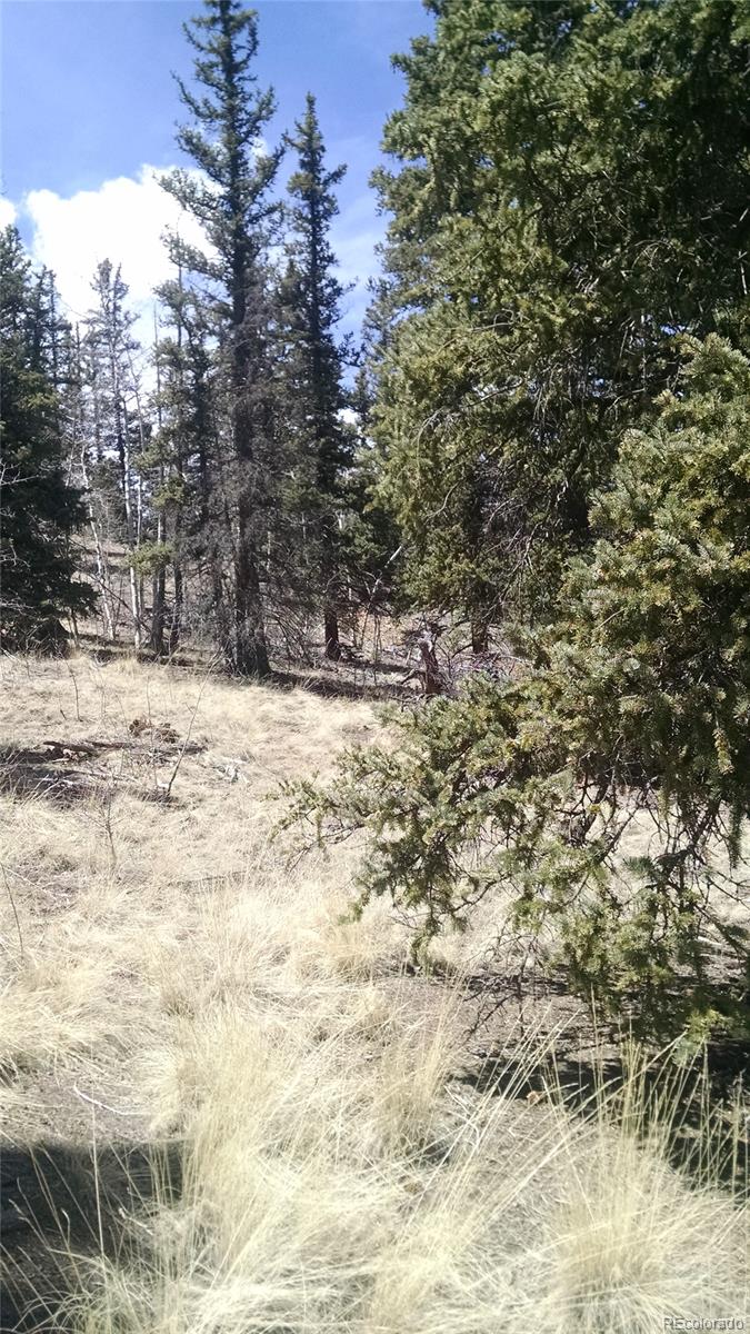622 Spearpoint Road Jefferson, CO 80456 - Photo 5 of 9 Gallery Image 5