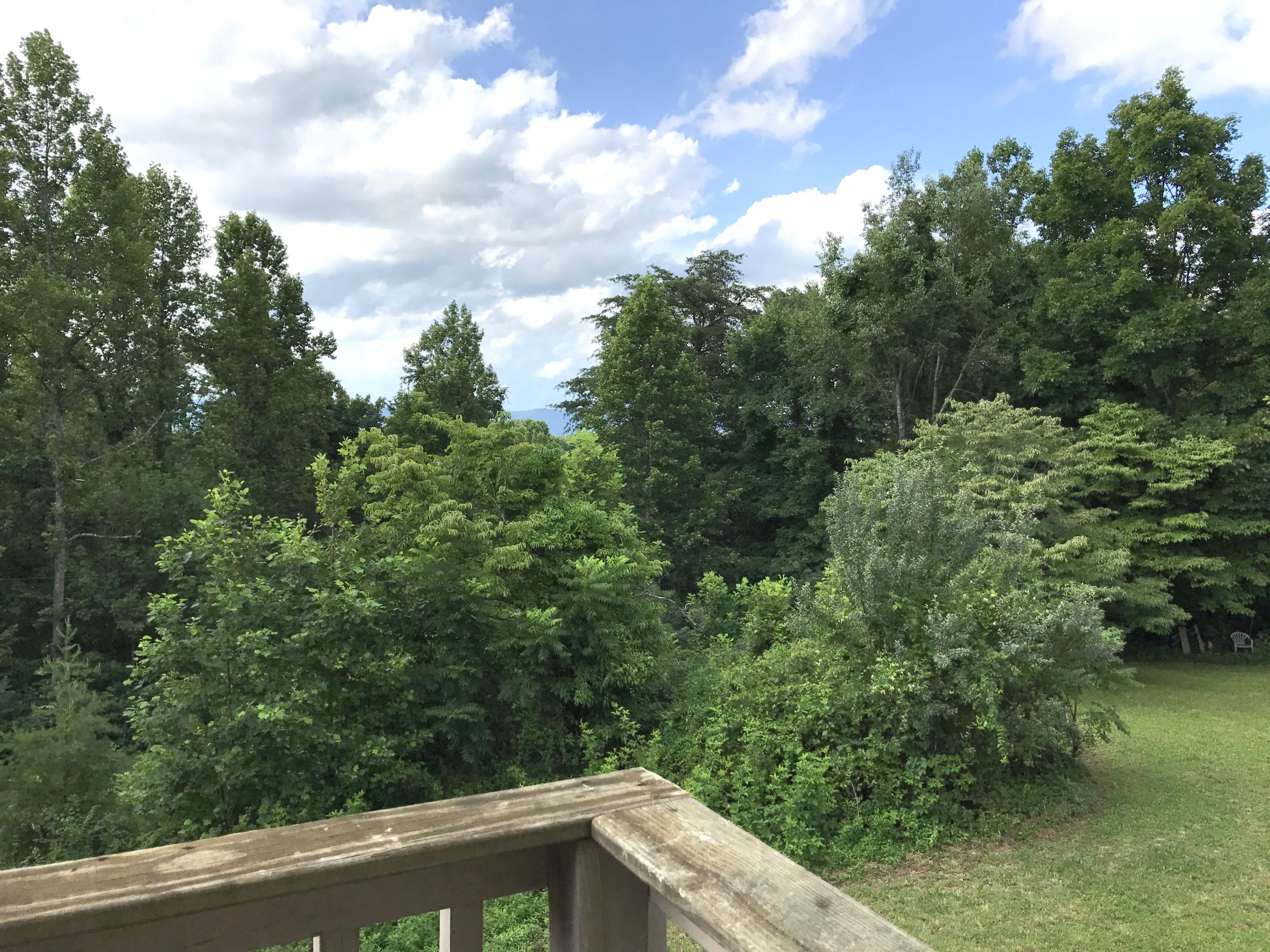 241 White Rock Road Jacksboro, TN 37757 - Photo 12 of 13 View from Back Deck