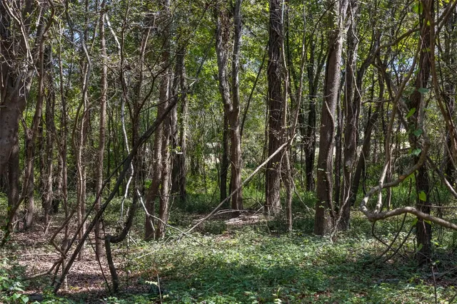 $824,999 | 21 East ( /- 69.227 Acres) Midway Tx 75852, Midway, TX 75852