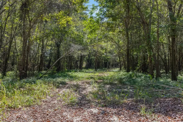 $824,999 | 21 East ( /- 69.227 Acres) Midway Tx 75852, Midway, TX 75852