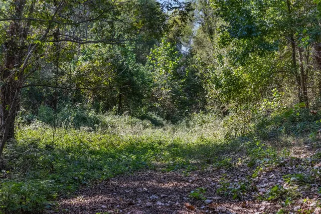 $824,999 | 21 East ( /- 69.227 Acres) Midway Tx 75852, Midway, TX 75852