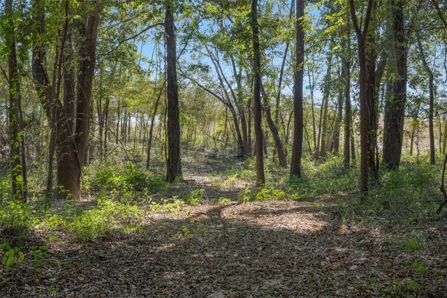 $824,999 | 21 East ( /- 69.227 Acres) Midway Tx 75852, Midway, TX 75852