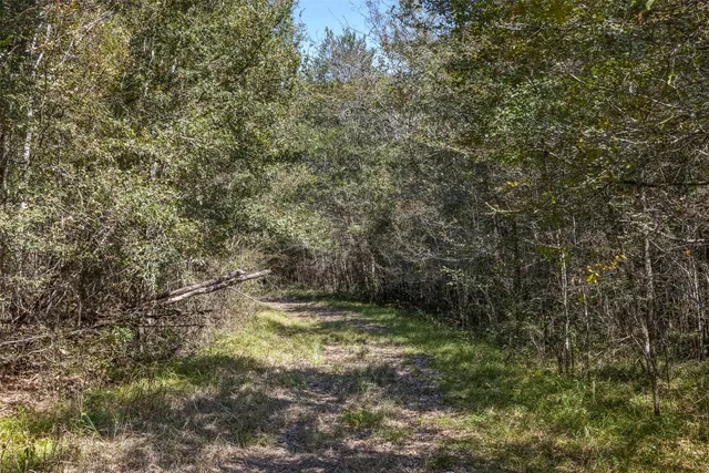 $824,999 | 21 East ( /- 69.227 Acres) Midway Tx 75852, Midway, TX 75852