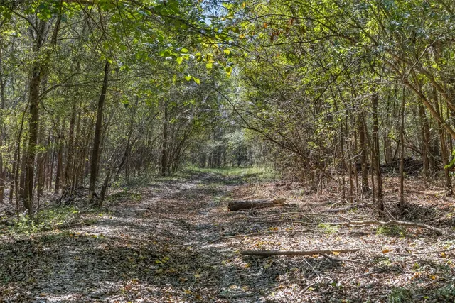 $824,999 | 21 East ( /- 69.227 Acres) Midway Tx 75852, Midway, TX 75852