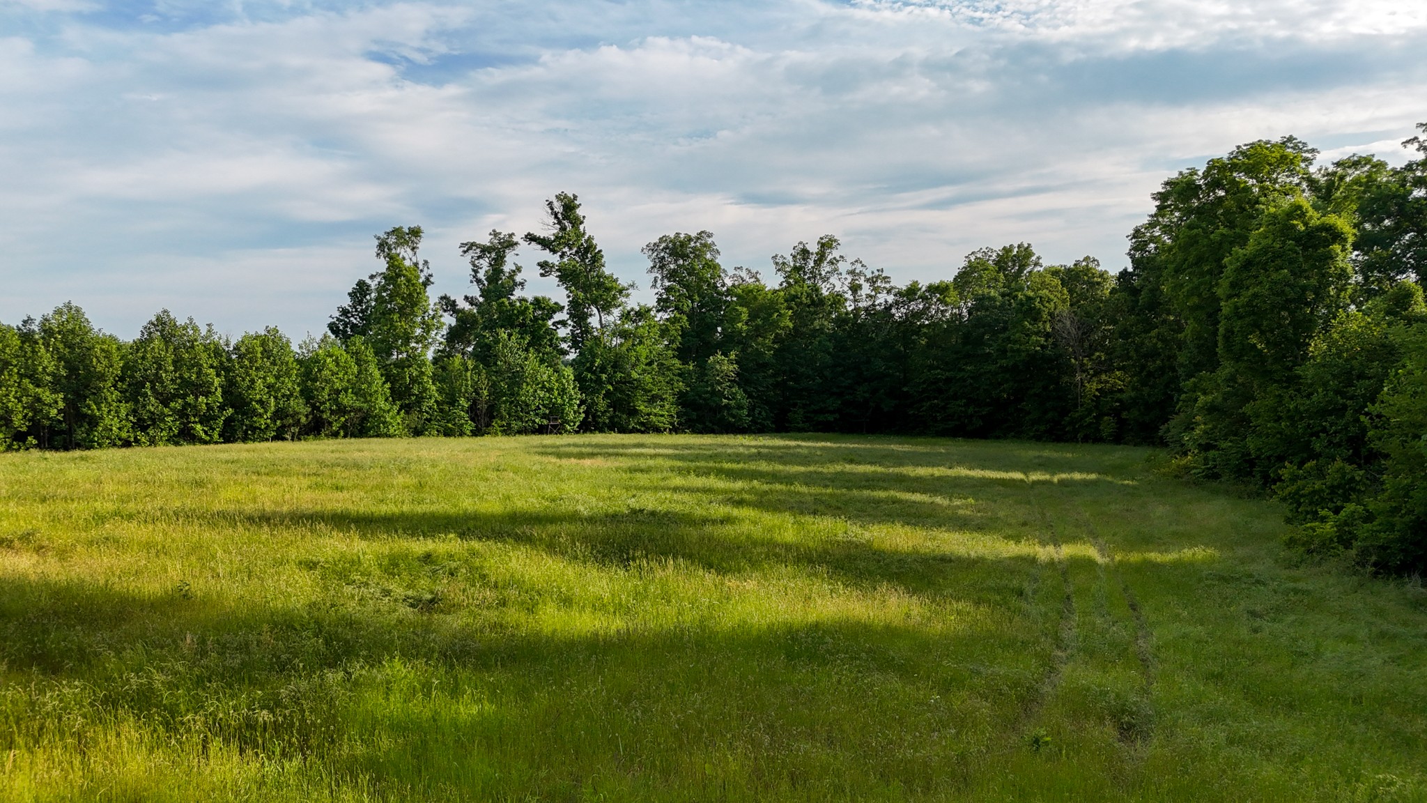 0 Mcadams Road Greenfield, TN 38230 - Photo 14 of 25