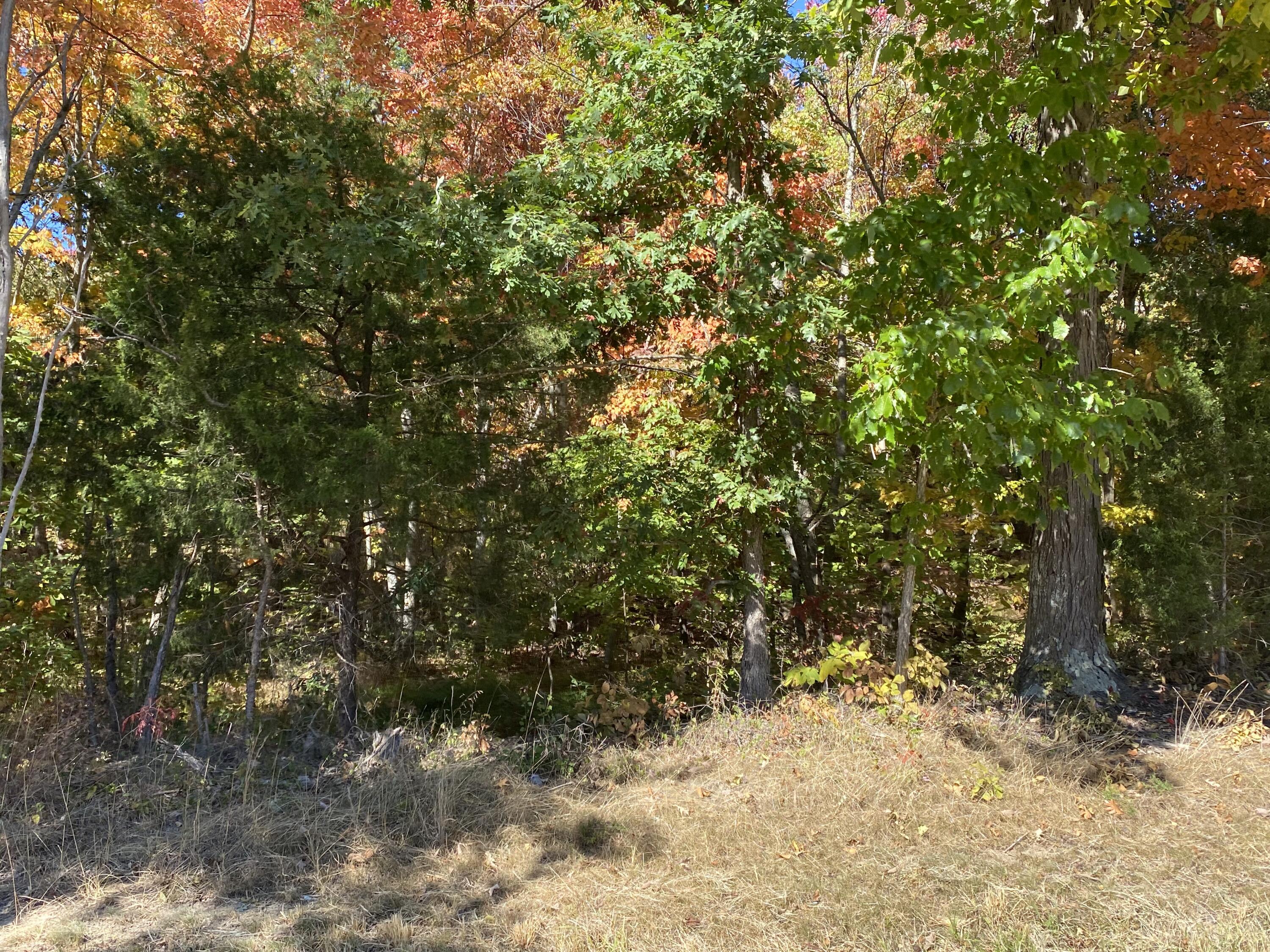 13925 Lebanon Road Danville, KY 40422 - Photo 6 of 17 049C74BD-662A-43FB-AA69-6A5BEA233D36
