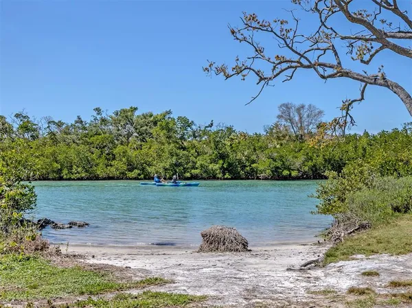 a view of a lake from a yard